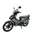 MT 125 CC - USD